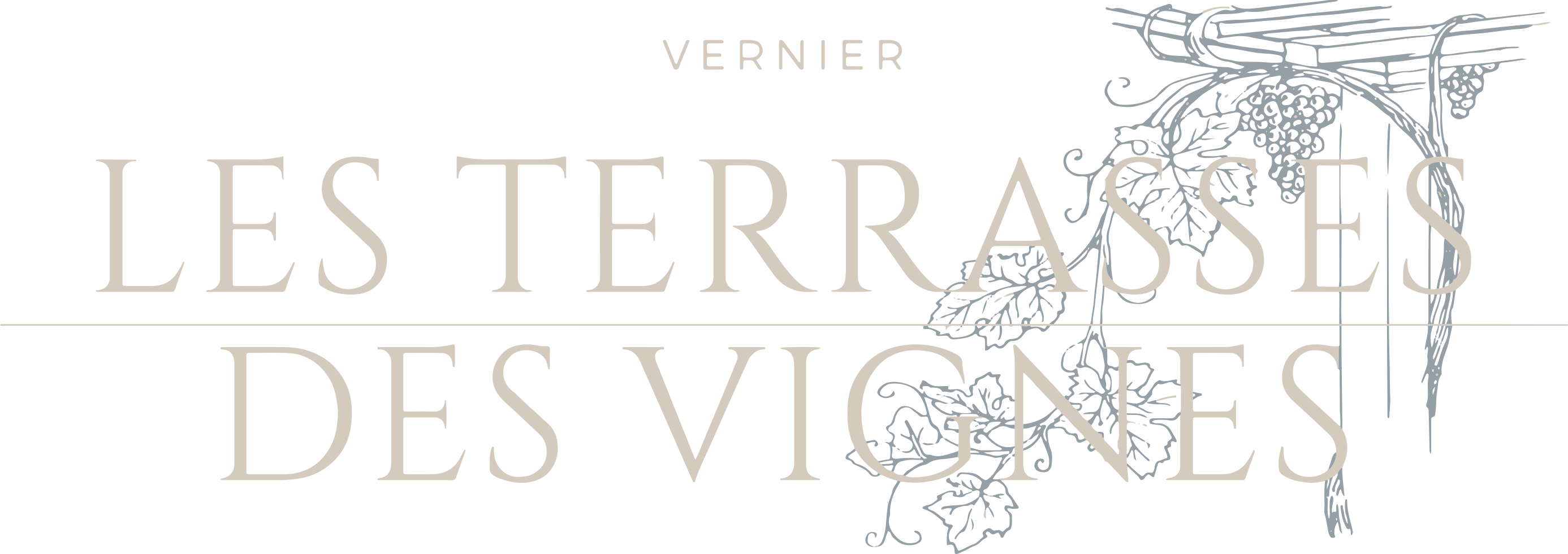 Logo terrasse des vignes